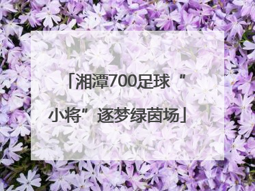 湘潭700足球“小将”逐梦绿茵场
