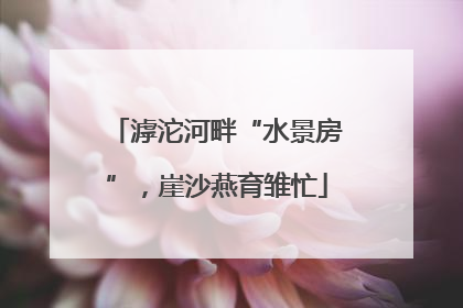 滹沱河畔“水景房”，崖沙燕育雏忙