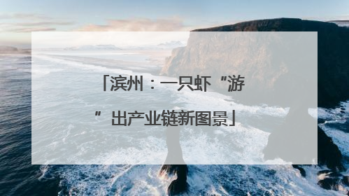 滨州：一只虾“游”出产业链新图景