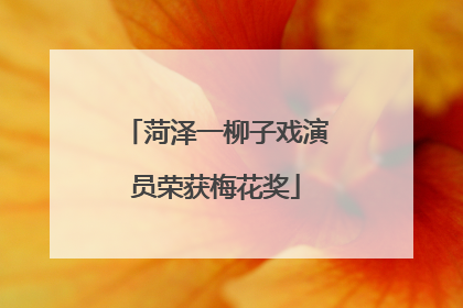 菏泽一柳子戏演员荣获梅花奖