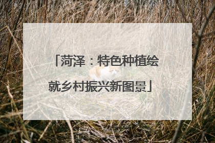 菏泽：特色种植绘就乡村振兴新图景