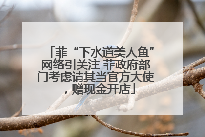 菲“下水道美人鱼”网络引关注 菲政府部门考虑请其当官方大使，赠现金开店
