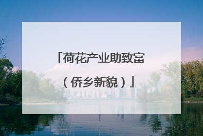 荷花产业助致富（侨乡新貌）