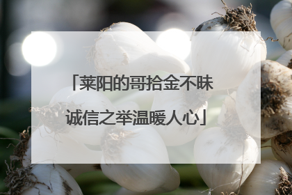 莱阳的哥拾金不昧 诚信之举温暖人心