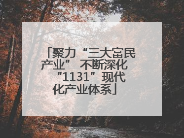 聚力“三大富民产业” 不断深化“1131”现代化产业体系