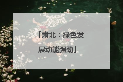 肃北：绿色发展动能强劲