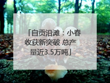 自贡沿滩：小春收获新突破 总产量近3.5万吨