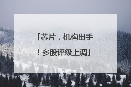 芯片，机构出手！多股评级上调