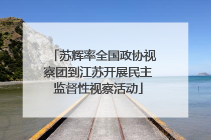 苏辉率全国政协视察团到江苏开展民主监督性视察活动