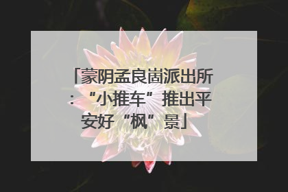 蒙阴孟良崮派出所：“小推车”推出平安好“枫”景