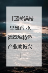 蓝莓满枝果飘香 承德宽城特色产业助振兴