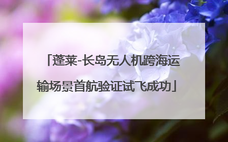 蓬莱-长岛无人机跨海运输场景首航验证试飞成功