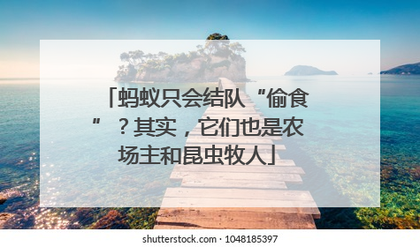 蚂蚁只会结队“偷食”？其实，它们也是农场主和昆虫牧人