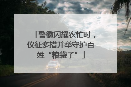 警徽闪耀农忙时，仪征多措并举守护百姓“粮袋子”