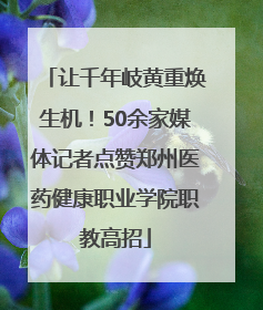 让千年岐黄重焕生机！50余家媒体记者点赞郑州医药健康职业学院职教高招