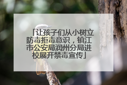 让孩子们从小树立防毒拒毒意识，镇江市公安局润州分局进校展开禁毒宣传