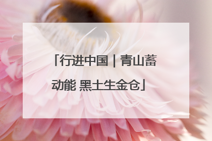 行进中国｜青山蓄动能 黑土生金仓