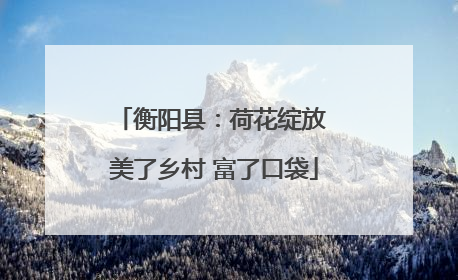 衡阳县：荷花绽放 美了乡村 富了口袋