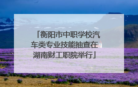 衡阳市中职学校汽车类专业技能抽查在湖南财工职院举行