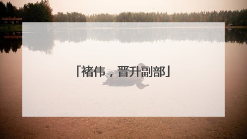 褚伟，晋升副部
