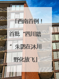 西南首例！首批“四川籍”朱鹮在沐川野化放飞
