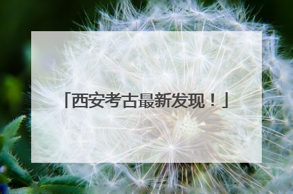 西安考古最新发现！