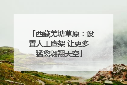 西藏羌塘草原：设置人工鹰架 让更多猛禽翱翔天空