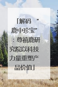 解码 “鹿中珍宝”：尊禧鹿研究院以科技力量重塑产品价值