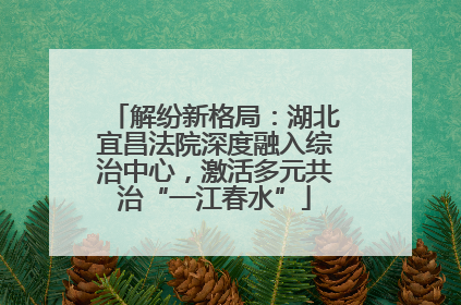 解纷新格局：湖北宜昌法院深度融入综治中心，激活多元共治“一江春水”