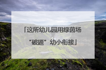 这所幼儿园用绿茵场“破题”幼小衔接
