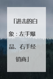 进击的白象：左手爆品、右手经销商