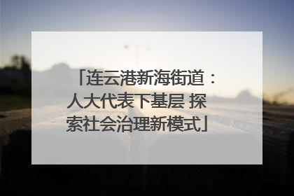 连云港新海街道：人大代表下基层 探索社会治理新模式