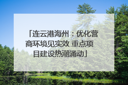 连云港海州：优化营商环境见实效 重点项目建设热潮涌动