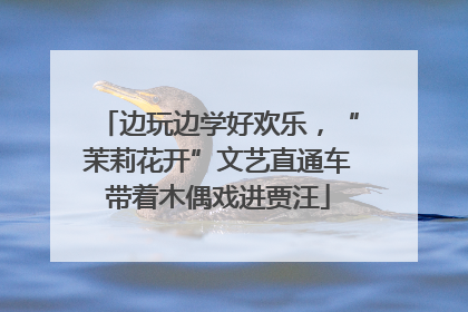 边玩边学好欢乐，“茉莉花开”文艺直通车带着木偶戏进贾汪