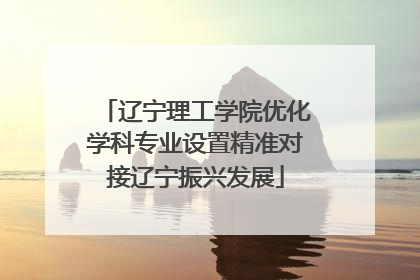 辽宁理工学院优化学科专业设置精准对接辽宁振兴发展