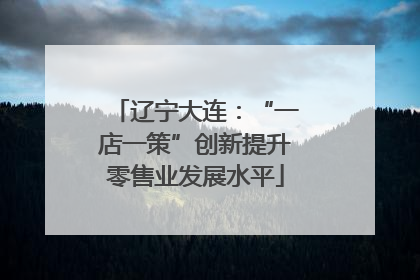 辽宁大连：“一店一策”创新提升零售业发展水平