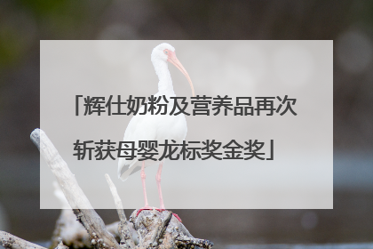 辉仕奶粉及营养品再次斩获母婴龙标奖金奖