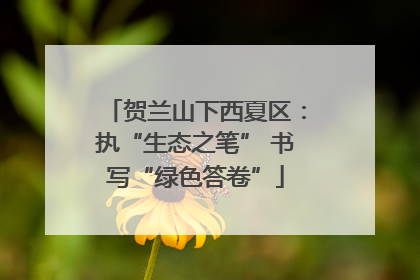 贺兰山下西夏区：执“生态之笔” 书写“绿色答卷”