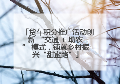 货车积分推广活动创新 “交通 + 助农” 模式，铺就乡村振兴“甜蜜路”