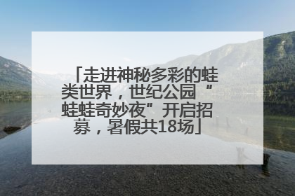 走进神秘多彩的蛙类世界，世纪公园“蛙蛙奇妙夜”开启招募，暑假共18场