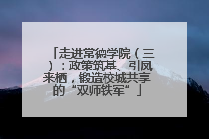 走进常德学院（三）：政策筑基、引凤来栖，锻造校城共享的“双师铁军”