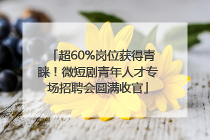 超60%岗位获得青睐！微短剧青年人才专场招聘会圆满收官