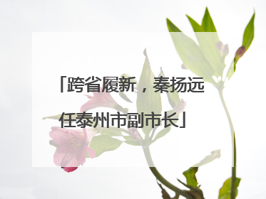 跨省履新，秦扬远任泰州市副市长