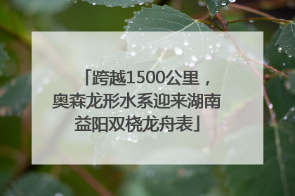 跨越1500公里，奥森龙形水系迎来湖南益阳双桡龙舟表