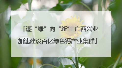 逐“绿”向“新” 广西兴业加速建设百亿绿色钙产业集群