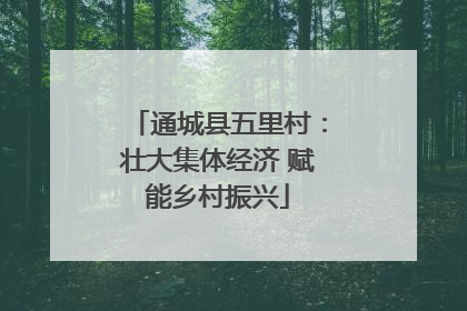 通城县五里村：壮大集体经济 赋能乡村振兴
