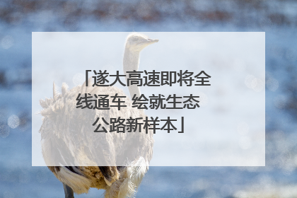 遂大高速即将全线通车 绘就生态公路新样本