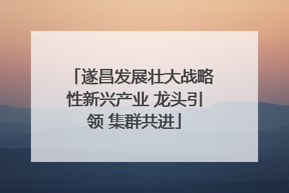 遂昌发展壮大战略性新兴产业 龙头引领 集群共进