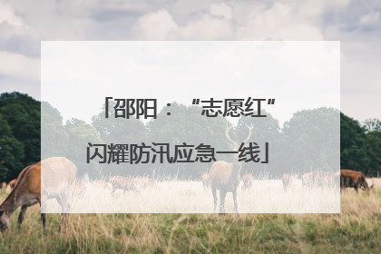 邵阳：“志愿红”闪耀防汛应急一线