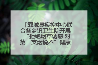 郓城县疾控中心联合各乡镇卫生院开展“拒绝烟草诱惑 对第一支烟说不”健康教育宣传活动